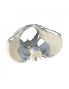 Erler Zimmer, modèle...