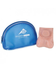 Modèle anatomique de...