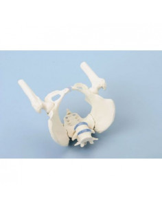 Erler Zimmer, modèle...