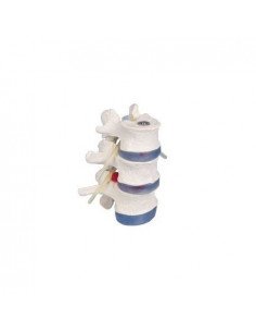 Erler Zimmer modèle...