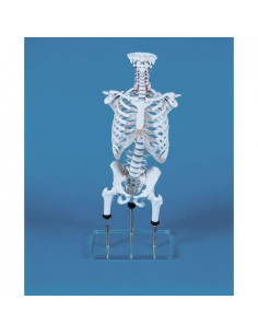 Erler ZImmer, modello...