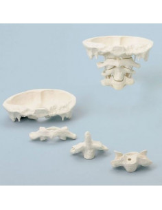 Erler Zimmer, modèle de...