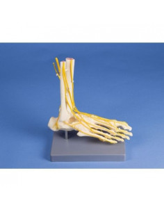 Erler Zimmer, modèle...