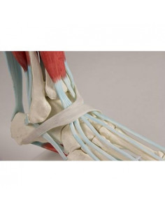 Erler Zimmer, modèle...