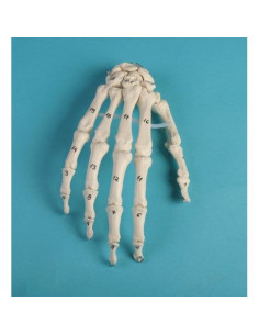 Erler Zimmer, modèle...