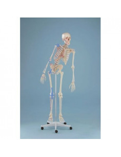 Erler Zimmer, modèle...