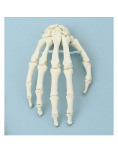 Erler Zimmer, modèle...