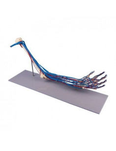 Erler Zimmer, modèle...