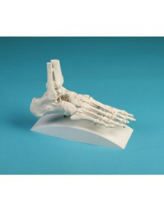 Erler Zimmer, modèle...