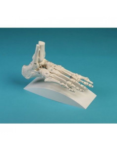 Erler Zimmer, modèle de...