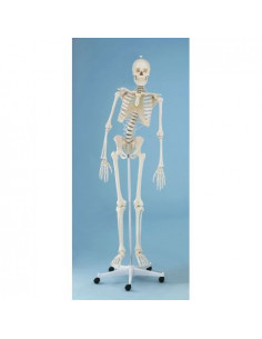 Erler Zimmer, modèle...