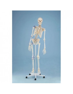 Erler Zimmer, modèle...