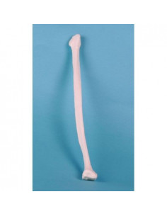 Erler Zimmer, modèle...