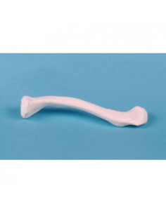 Erler Zimmer, modèle...