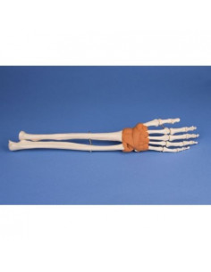 Erler Zimmer modèle...