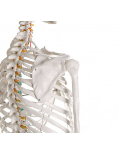 Erler Zimmer, modèle de...