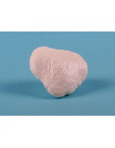 Erler Zimmer, modèle...