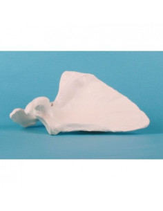 Erler Zimmer, modèle...