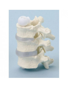 Erler Zimmer, modèle...