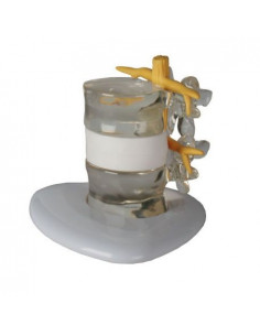 Erler Zimmer, simulateur de...