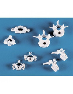 Erler Zimmer, collection de...