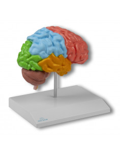 Visualise Erler Zimmer...