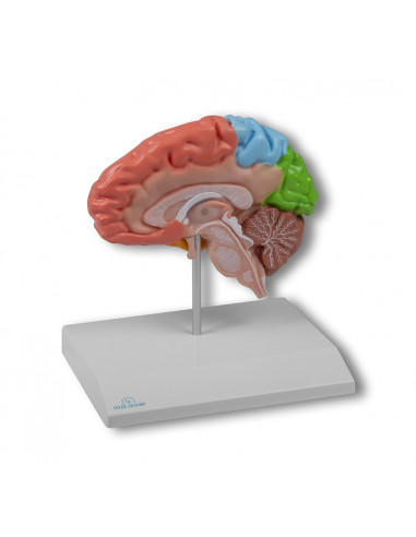 Visualise Erler Zimmer agrandi,...