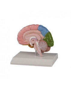 Visualise Erler Zimmer...